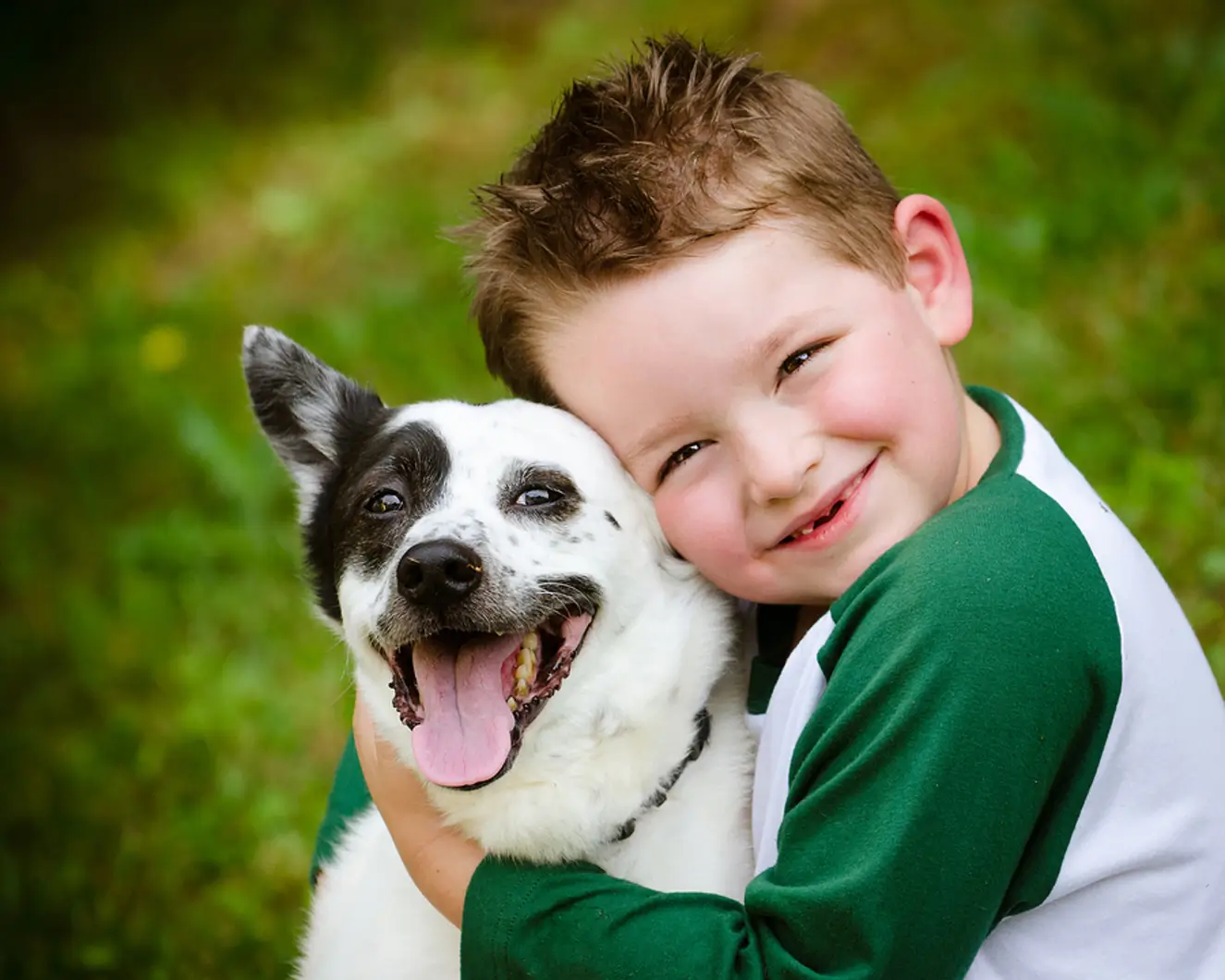 Turning Pets Into Profit: A Landlord’s Guide to Pet-Friendly Rentals in Phoenix